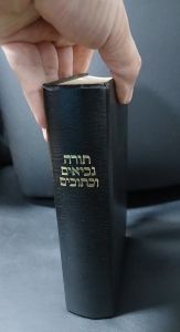 Antigo Testamento em Hebraico Edição Raríssima